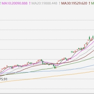 台股收涨0.74%报21304.26点再创历史新高！台积电创历史新高，年内累涨超40% ...