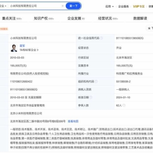 小米国际业务部副总裁向征离职？集团主要人员还剩这几位