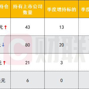 四大头部私募曝光“美股成绩单”：拼多多仍是高瓴、高毅心头好 但景林却悄悄减仓 ...