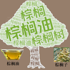 马棕油期货惴惴不安，投资者需关注的五大关键因素