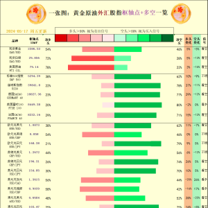 一张图：2024/05/17黄金原油外汇股指"枢纽点+多空占比"一览 ...