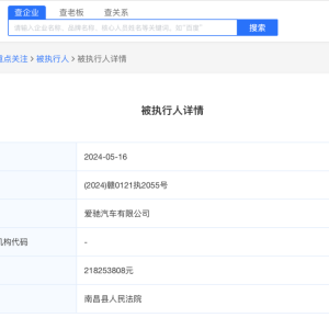 爱驰汽车公司被强制执行2.18亿余元