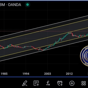 分析师：黄金长期价格结构指向20000美元