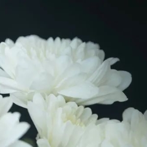 痛惜！河南商业巨头龙佰集团实际控制人，许刚因病医治无效不幸离世，享年61岁 ...