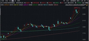 美联储官员释放谨慎信号，分析师判断“贵金属的长牛远未结束” ...