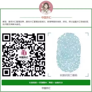 沈建光：强势美元下五大因素助人民币汇率稳定