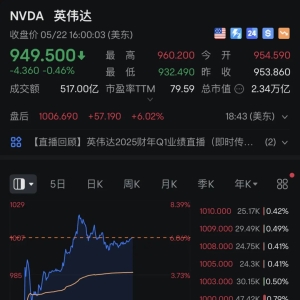 英伟达业绩“爆表”，净利润同比增长620%！盘后涨6%股价突破1000美元，将1拆10！黄仁 ...
