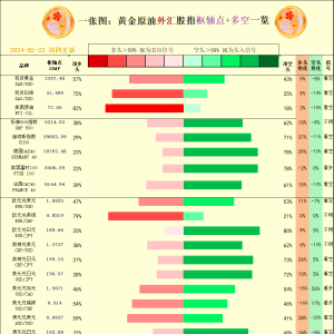 一张图：2024/05/23黄金原油外汇股指"枢纽点+多空占比"一览 ...