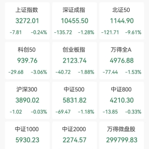 A股收评：三大指数下跌，创业板指跌1.88%北证50跌9.61%！稀土永磁、医药商业走高，超4 ...