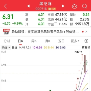 黑芝麻11月以来不是涨停就是跌停！艾融软件等北交所牛股短线回调40%，豆包登上全球第 ...