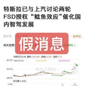 特斯拉与上汽讨论两轮FSD授权？官方回应
