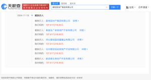 碧桂园地产等被强制执行1.3亿元