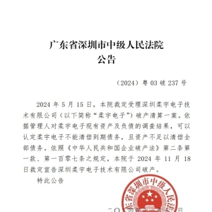 深圳中院宣告柔宇电子技术有限公司破产