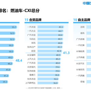 卓思与《中国汽车市场》杂志联合发布“2024中国汽车行业客户体验指数（CXI）报告” ...
