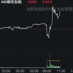 大肉签，最高涨22倍！新股N红四方中一签最高赚超9万，A50直线拉升，带动A股强劲反弹， ...