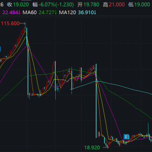 知行汽车科技股价巨震！距年内高点跌超80%，打折卖股份募资加码研发 ...