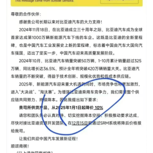 网传比亚迪致信供应商要求降价10%？2025年新能源汽车进入“大决战”“淘汰赛”！公司 ...