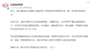 比亚迪起诉自媒体“龙猪-集车”案宣判：涉案自媒体构成侵权，删除侵权言论、赔礼道歉 ...