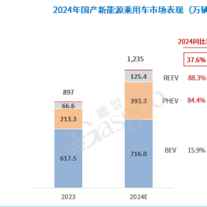 加速分化，中国汽车产业迎接更加激烈的2025！