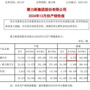 刚刚！赛力斯发布：新能源汽车，12月销量跌近10%！全年增超180% ...