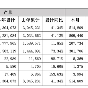 比亚迪2024年销量突破427万辆，同比大增41.26％