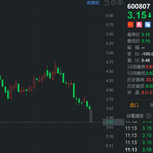 或被*ST，济高发展一字板跌停，封单金额达2.5亿，总市值不足30亿 ...