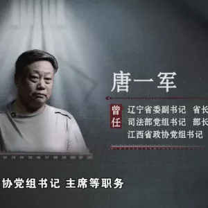 妻子实控34家公司，唐一军出镜忏悔！“王一刀”收了2亿元回扣，房子夹层藏钱 ...
