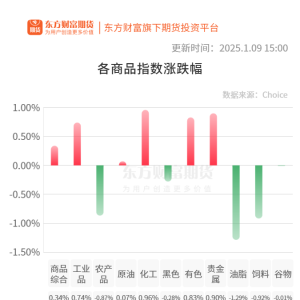 期市收评