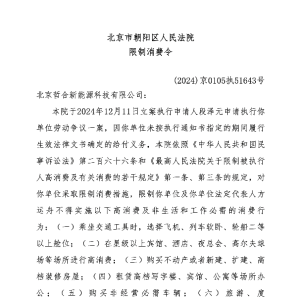 哪吒汽车创始人方运舟被限制高消费
