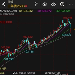 连续5个月后“暂停买入” 什么信号？国债后市怎么走？来看解读 ...
