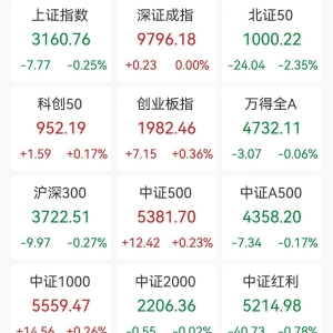 A股收评：沪指3连跌，创业板指涨0.36%，北证50跌2.35%！油气板块逆市走高，超2800股上 ...