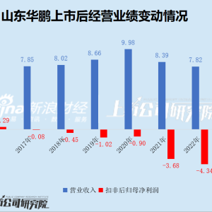 山东华鹏迎来至暗时刻：持续巨亏后净资产不足1亿，7.86亿债务逾期后，银行账户仅剩2万 ...