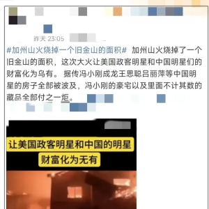冯小刚辟谣“洛杉矶房屋被美国山火烧毁”：本人无房屋被烧毁，请勿信谣言 ...