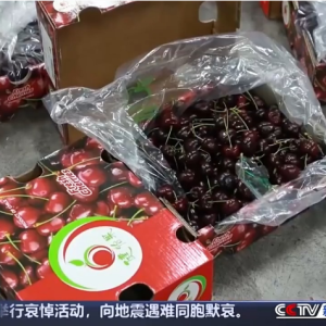 超2万吨到货！“顶流水果”价格大跌80%，发生了什么？