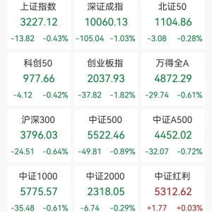 A股收评：三大指数集体下跌，沪指跌0.43%，深成指、创业板指跌逾1%，小红书概念股持续 ...