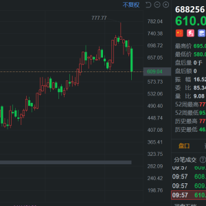 A股芯片龙头股寒武纪盘中跌幅扩大至15%，股价跌破600元，成交额超50亿元 ...