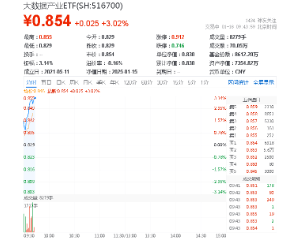 小红书迎“泼天流量”，天下秀冲击三连板！政策“组合拳”重磅出击，大数据产业ETF（5 ...