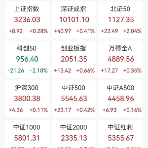A股收评：三大指数冲高回落小幅上涨，北证50涨超2%，小红书概念持续走高，CPO概念走强 ...