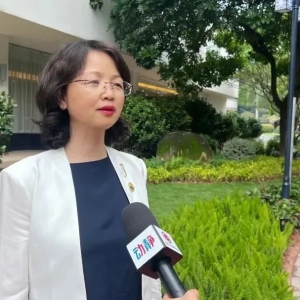 “烂树”杨慧，出镜忏悔：真的是太不值了，太愚蠢了，太疯狂了 ...