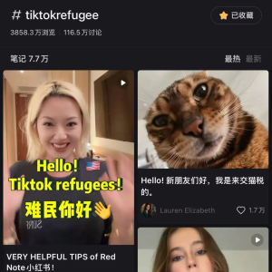 “对账”、交“猫税”、学普通话⋯⋯“TikTok难民”转战小红书疯狂72小时 ...