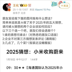 小米王化回应“2025年小米收购蔚来”猜想：几点了，几个菜？ ...