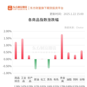期市收评