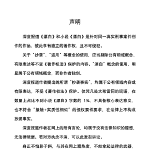 陈枰否认抄袭：《漂白》是针对同一刑事案件创作的作品，彼此享有独立著作权 ...
