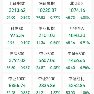 A股收评：三大指数集体下跌，沪指跌0.89%北证50跌超4%，小红书概念、房地产领跌！超42 ...