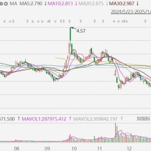 晨鸣纸业A股跌停报价2.53元创10年新低，H股跌近7%，2024年预计亏65亿-75亿元，上年同 ...