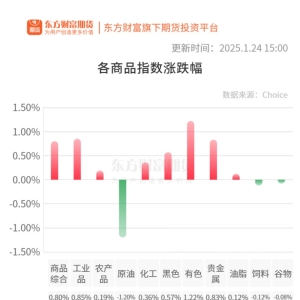 期市收评