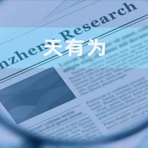 天有为：超2亿元借款的担保方系国企 多名持股平台员工与国企员工“同名”异象待解 ...