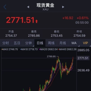 金价猛涨，逼近840元！黄金店铺延迟放假，“蛇金”、足金手机贴火爆！今年还会涨吗？ ...