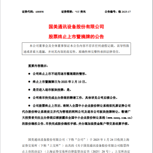 这家公司将告别A股，停牌前已连续14个跌停，实控人是黄光裕！ ...