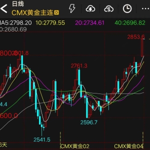 狂飙！金价 见证历史！欧洲央行再降息！特朗普：计划2月1日起对加墨商品征收25%关税 ...